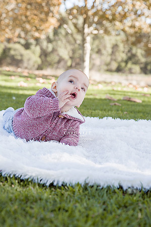 Bunbury-family-photography-wilson-family (8)