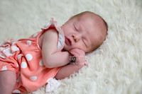 Bunbury Newborn Photographer PIPER (1)