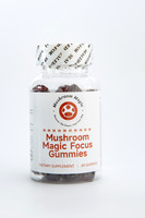 Busselton Corporate & Product Photography for Local Businesses