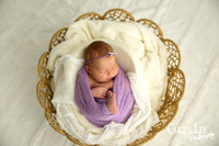 photo of a newborn in a basket