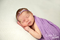 pretty newborn girl in purple wrap in Bunbury studio