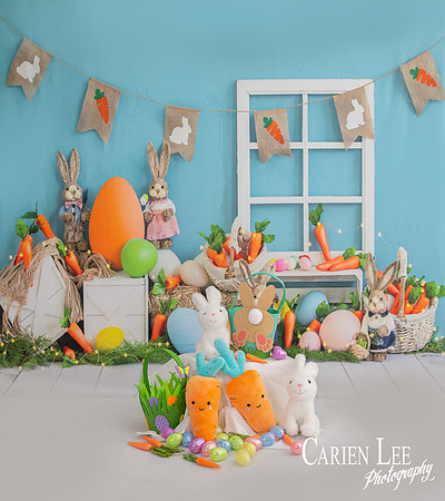 Eatser Photography mini session backdrop photography bunbury