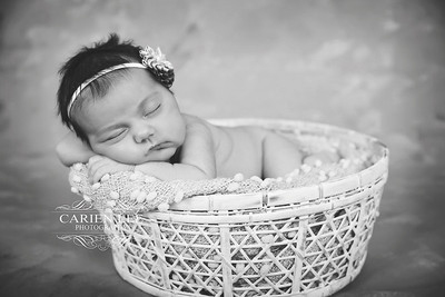 What a photography session fee covers during a professional photography session