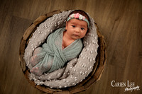 Gill family and newborn session-22