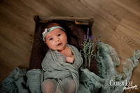 Gill family and newborn session-26