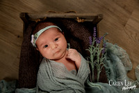 Gill family and newborn session-28