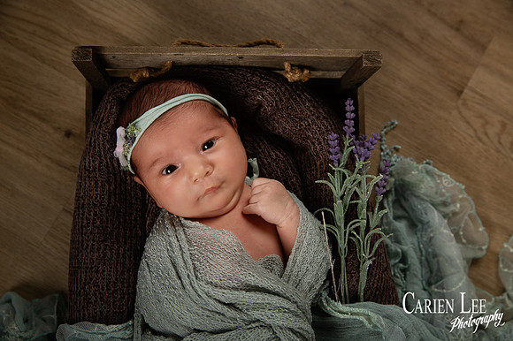 Gill family and newborn session-28