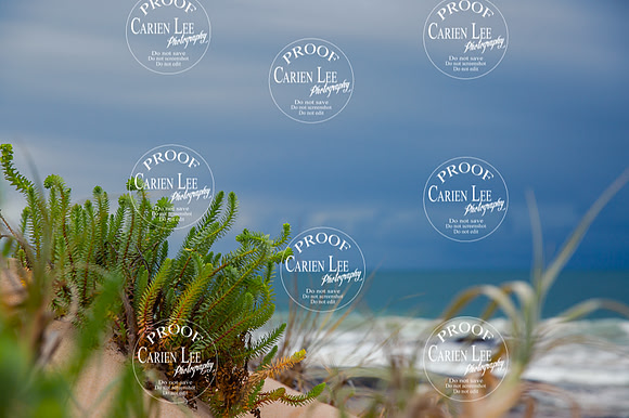 Bunbury Landscape Photography Print -3