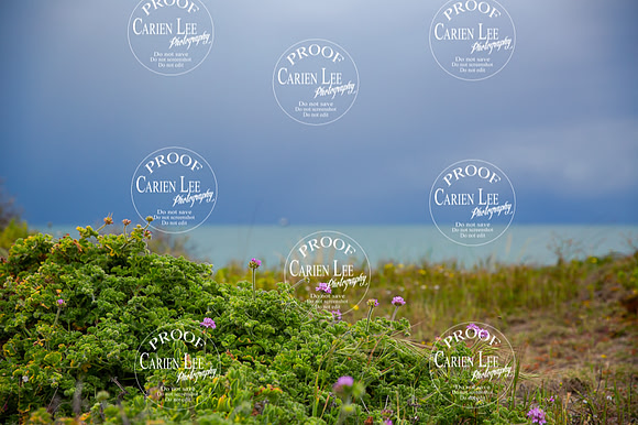 Bunbury Landscape Photography print
