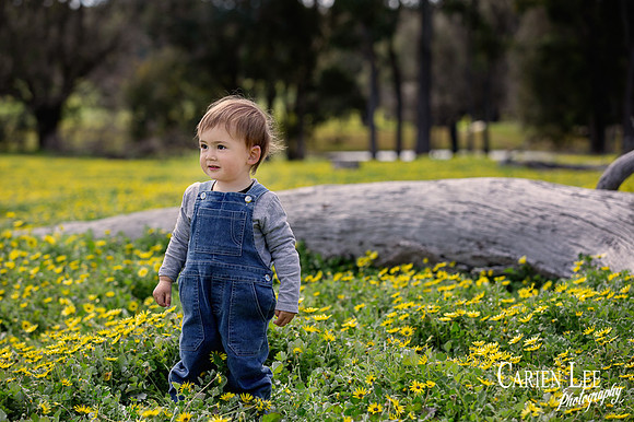 Little boy photographed on farm in Collie during family photo session