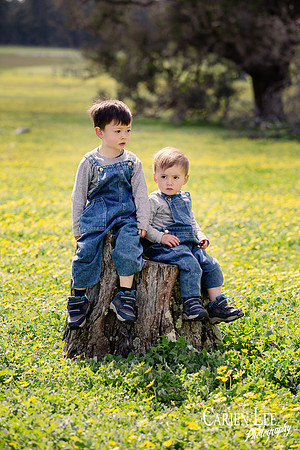 two boys in a photo on their parents farm in Collie