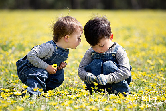 Two boys during a lifestyle family session in Collie