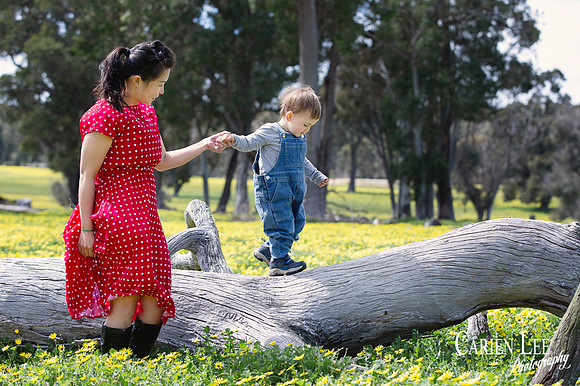 lifestyle photograph on family farm in Collie