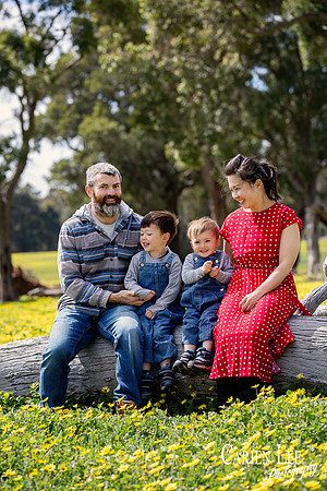 family photograph in Collie
