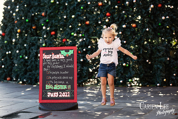 Janse v Vuuren Pregnancy Announcement -34