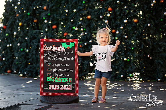 Janse v Vuuren Pregnancy Announcement -37