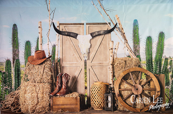 Cowboy Western Mini session and cake smash photography backdrop Bunbury