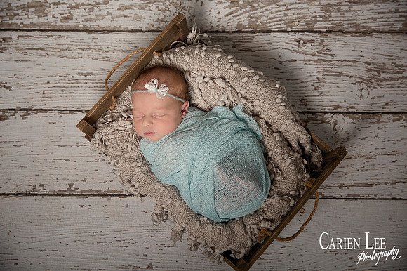 Newborn Ivy-91
