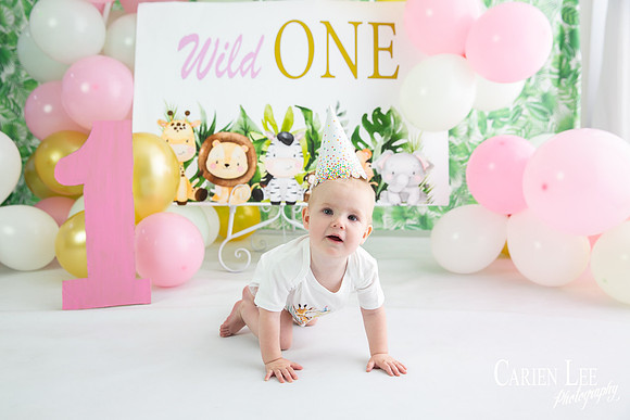 baby cake smash photography bunbury first birthday