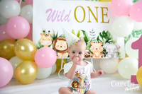 baby cake smash photography bunbury first birthday